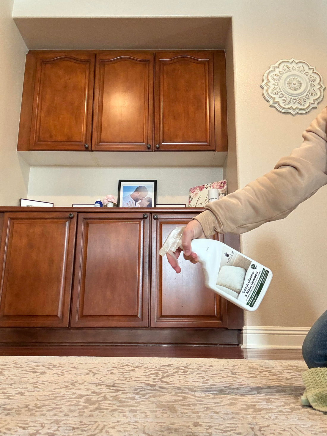 remove urine from carpet