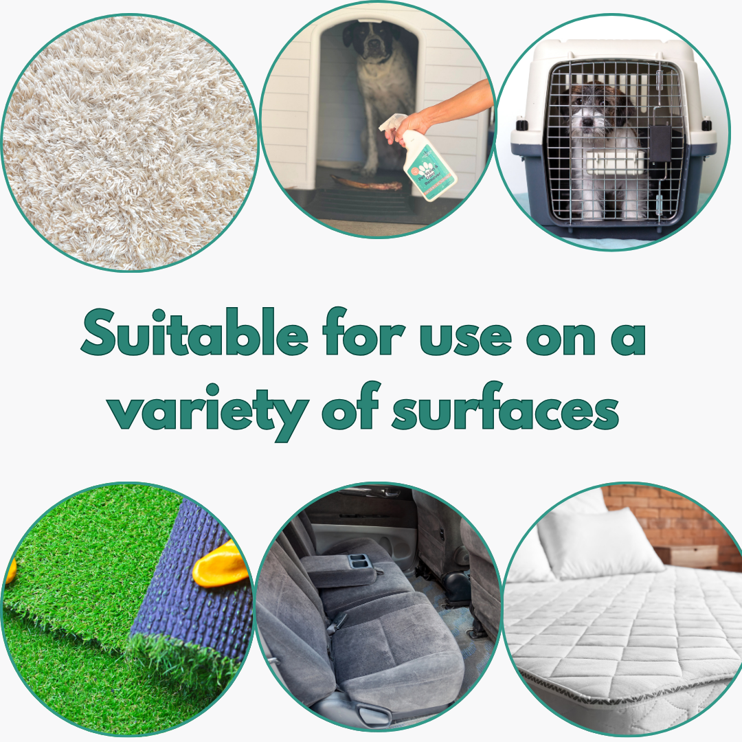 Pet owner cleaning couch with Noyatech enzyme spray”