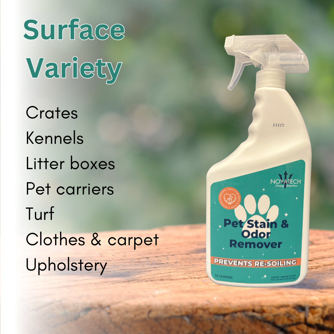 Pet urine stain removal results – couch cleaning before and after