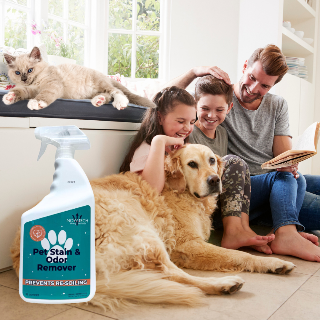 Non-toxic pet stain remover spray safe for kids and pets