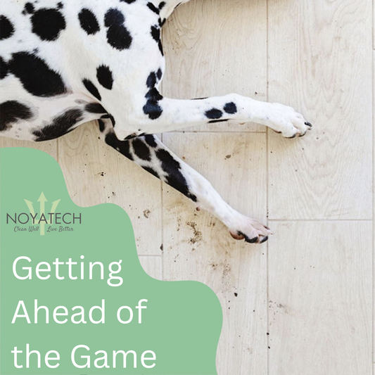 Preparing Your Vinyl Floors for Seasonal Changes