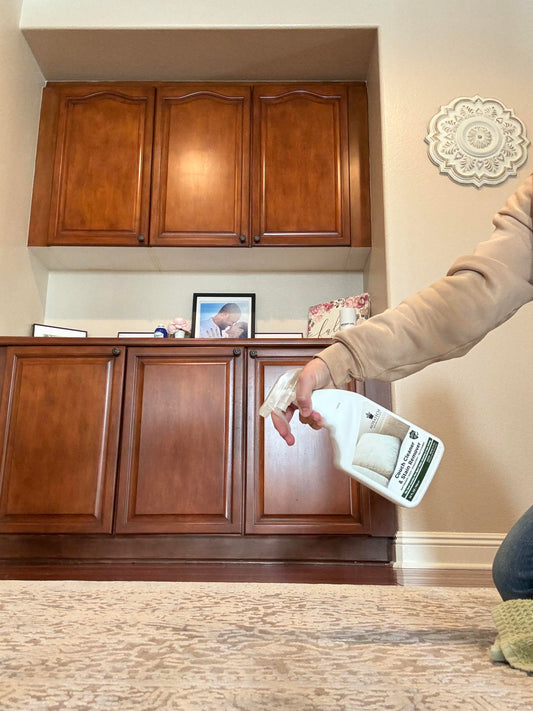 remove urine from carpet
