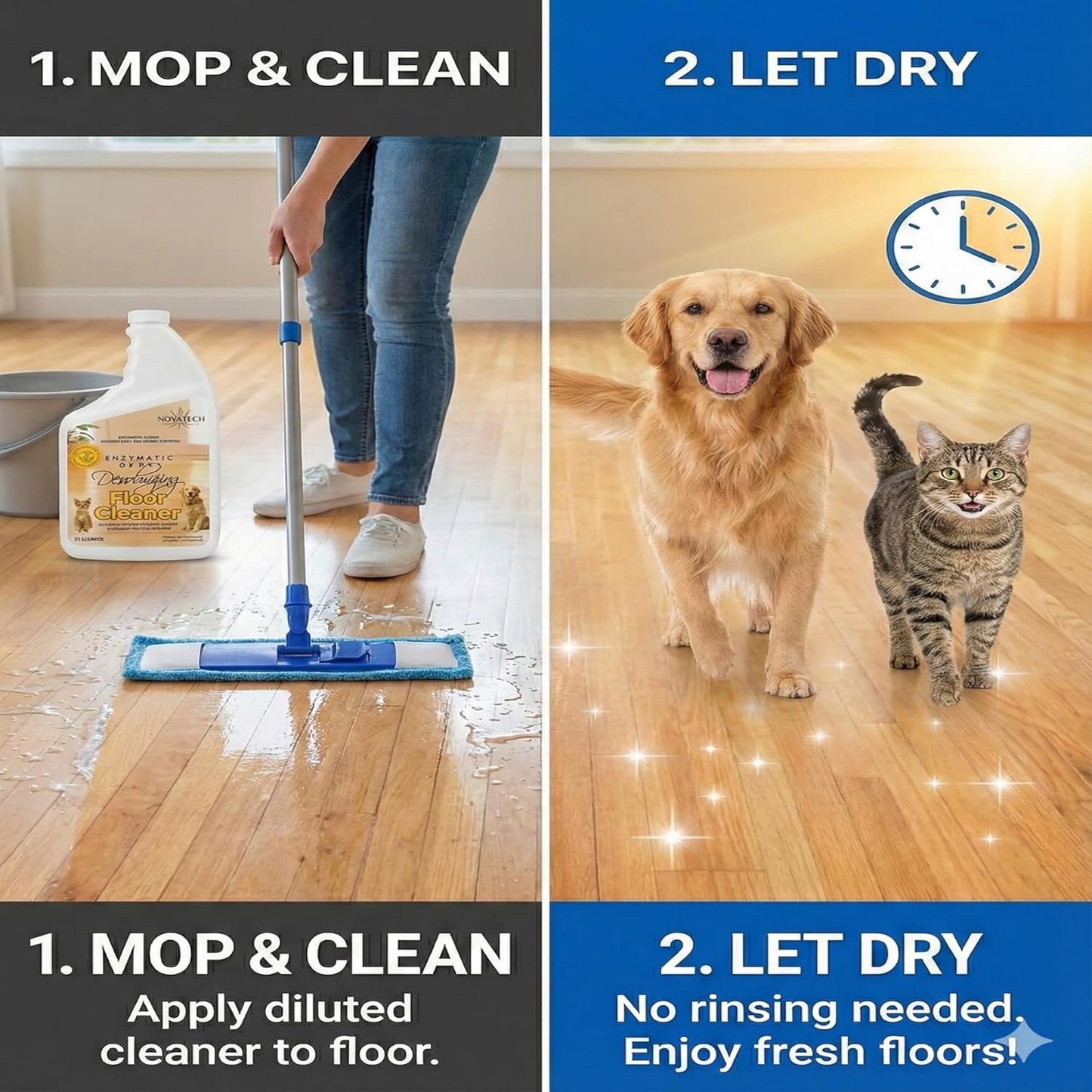 Urine Deodorizing Floor Cleaner – Enzymatic, Non-Toxic & Long-Lasting