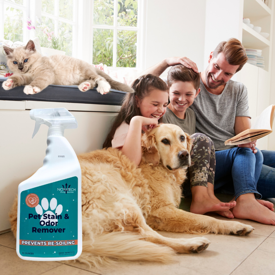 Couch spray for dogs best sale